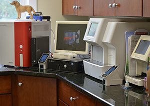 Laboratory Facilities
