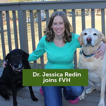 Dr. Jessica Redin Announcement